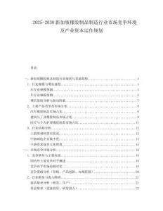 2025-2030新加坡橡膠制品制造行業市場競爭環境及產業資本運作規劃