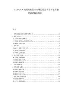 2025-2030突尼斯旅游業市場監管完善分析投資前景研討規劃報告