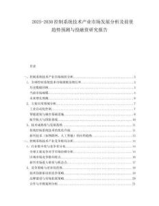 2025-2030控制系統技術產業市場發展分析及前景趨勢預測與投融資研究報告