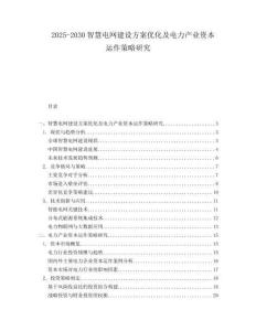 2025-2030智慧電網建設方案優化及電力產業資本運作策略研究