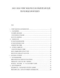 2025-2030中國礦業權評估行業市場供需分析及投資評估規劃分析研究報告