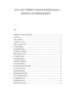 2025-2030中國煤炭產業清潔高效利用技術改造與碳排放權交易市場構建規劃報告