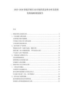 2025-2030智能牙刷行業(yè)市場供需態(tài)勢分析及投資發(fā)展戰(zhàn)略規(guī)劃報告