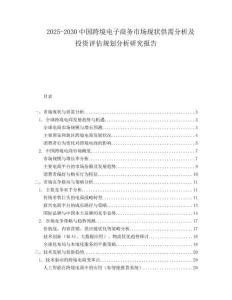 2025-2030中國跨境電子商務市場現狀供需分析及投資評估規劃分析研究報告