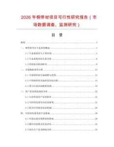 2026年鋼帶材項目可行性研究報告（市場數(shù)據(jù)調查、監(jiān)測研究）
