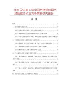 2026及未來5年中國帶柄鋼絲刷市場數(shù)據(jù)分析及競爭策略研究報(bào)告