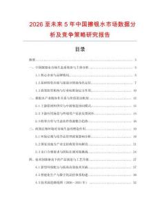 2026至未來5年中國擦銀水市場數(shù)據(jù)分析及競爭策略研究報告