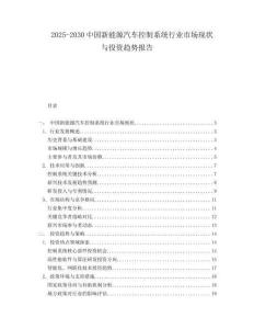 2025-2030中國新能源汽車控制系統行業市場現狀與投資趨勢報告