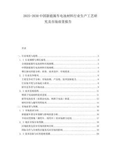 2025-2030中國新能源車電池材料行業生產工藝研究及市場前景報告