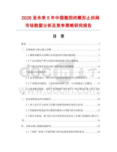 2026至未來5年中國微陰閉蝶形止回閥市場數據分析及競爭策略研究報告