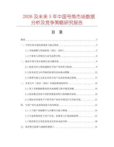 2026及未來5年中國號角市場數據分析及競爭策略研究報告