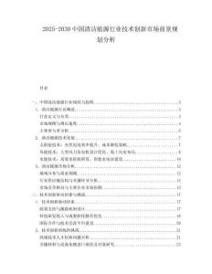 2025-2030中國清潔能源行業(yè)技術(shù)創(chuàng)新市場前景規(guī)劃分析