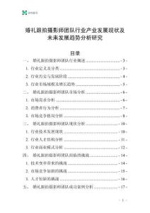 婚禮跟拍攝影師團隊行業產業發展現狀及未來發展趨勢分析研究
