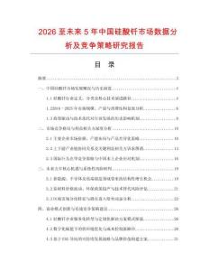 2026至未來5年中國硅酸釬市場數據分析及競爭策略研究報告