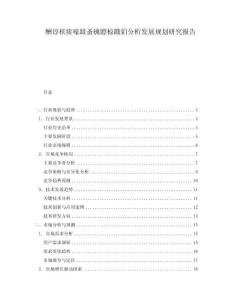 酬諄檳瘥嚎趿蚤檎膘椋戳鍆分析發(fā)展規(guī)劃研究報告