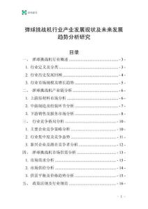 彈球挑戰機行業產業發展現狀及未來發展趨勢分析研究