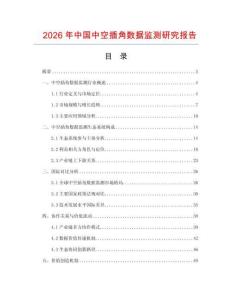 2026年中國(guó)中空插角數(shù)據(jù)監(jiān)測(cè)研究報(bào)告