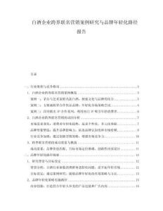 白酒企業(yè)跨界聯(lián)名營銷案例研究與品牌年輕化路徑報(bào)告
