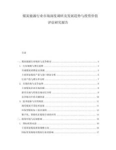 煤炭能源行業市場深度調研及發展趨勢與投資價值評估研究報告