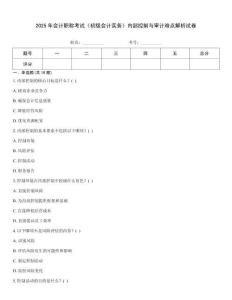 2025年會(huì)計(jì)職稱考試《初級(jí)會(huì)計(jì)實(shí)務(wù)》內(nèi)部控制與審計(jì)難點(diǎn)解析試卷