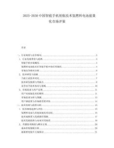 2025-2030中國智能手機續航技術氫燃料電池能量化市場評策
