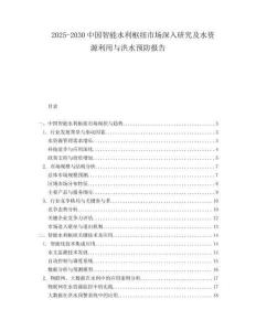 2025-2030中國智能水利樞紐市場深入研究及水資源利用與洪水預防報告