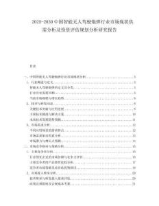 2025-2030中國智能無人駕駛炮彈行業市場現狀供需分析及投資評估規劃分析研究報告