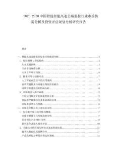 2025-2030中國智能智能高速公路監控行業市場供需分析及投資評估規劃分析研究報告