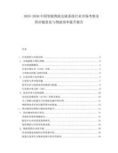 2025-2030中國智能物流倉儲系統行業市場考察及供應鏈優化與物流效率提升報告