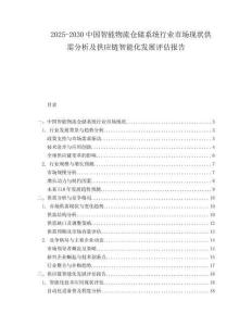 2025-2030中國智能物流倉儲系統行業市場現狀供需分析及供應鏈智能化發展評估報告