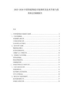 2025-2030中國智能物流市場調(diào)研及技術(shù)升級(jí)與投資機(jī)會(huì)預(yù)測報(bào)告
