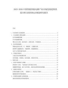 2025-2030中國智能智能電梯產業市場發展趨勢供需分析及投資機會規劃研究報告