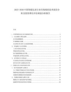 2025-2030中國智能儀表行業市場現狀技術前沿分析及投資增長評估規劃分析報告