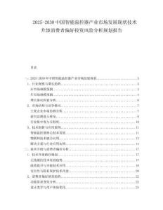 2025-2030中國智能溫控器產業市場發展現狀技術升級消費者偏好投資風險分析規劃報告