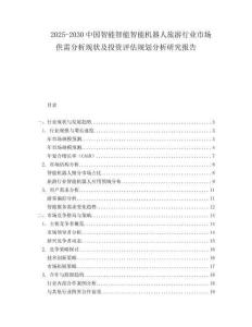 2025-2030中國智能智能智能機器人旅游行業市場供需分析現狀及投資評估規劃分析研究報告