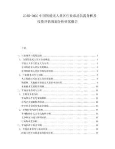 2025-2030中國智能無人景區行業市場供需分析及投資評估規劃分析研究報告