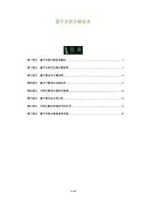 量子無損分解技術