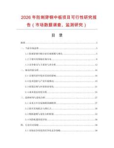 2026年防刺穿鋼中板項(xiàng)目可行性研究報(bào)告（市場(chǎng)數(shù)據(jù)調(diào)查、監(jiān)測(cè)研究）