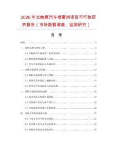 2026年光觸媒汽車噴霧劑項目可行性研究報告（市場數據調查、監測研究）