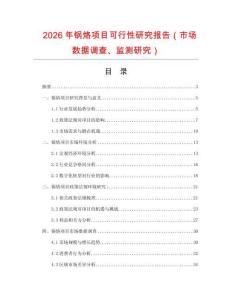 2026年鍋烙項目可行性研究報告（市場數據調查、監測研究）