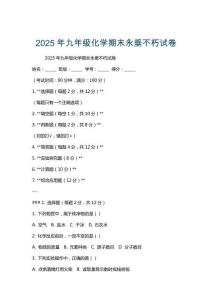 2025年九年級(jí)化學(xué)期末永垂不朽試卷