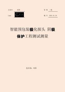 智能預包裝極化探頭 陰極保護工程測試測量