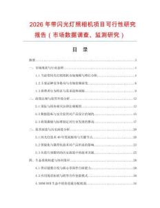 2026年帶閃光燈照相機項目可行性研究報告（市場數據調查、監測研究）