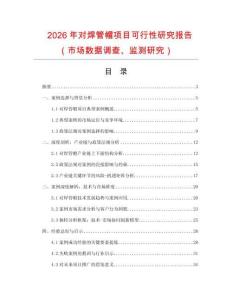 2026年對焊管帽項目可行性研究報告（市場數(shù)據(jù)調(diào)查、監(jiān)測研究）