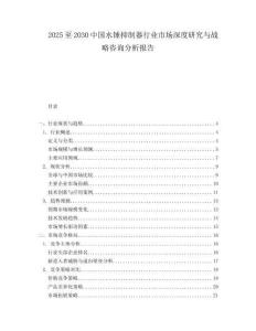 2025至2030中國(guó)水錘抑制器行業(yè)市場(chǎng)深度研究與戰(zhàn)略咨詢(xún)分析報(bào)告