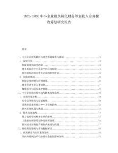 2025-2030中小企業(yè)稅負(fù)降低財(cái)務(wù)籌劃收入合并稅收籌劃研究報(bào)告