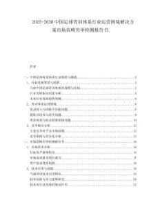 2025-2030中國(guó)足球青訓(xùn)體系行業(yè)運(yùn)營(yíng)困境解決方案市場(chǎng)范疇窮舉檢測(cè)報(bào)告書(shū)