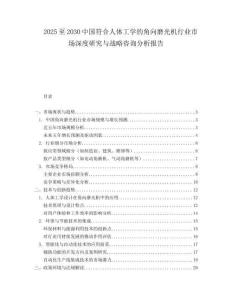 2025至2030中國符合人體工學的角向磨光機行業市場深度研究與戰略咨詢分析報告