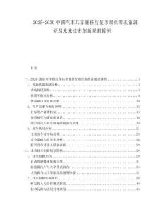 2025-2030中國(guó)汽車共享服務(wù)行業(yè)市場(chǎng)供需現(xiàn)象調(diào)研及未來技術(shù)創(chuàng)新規(guī)劃範(fàn)例