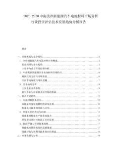 2025-2030中南美洲新能源汽車電池材料市場分析行業投資評估技術發展趨勢分析報告